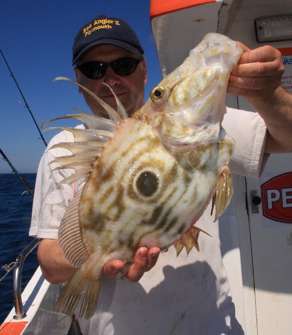 [Gavin John Dory]